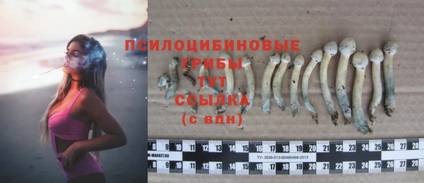 прущие крисы Алексеевка